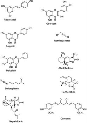 Natural Small Molecules Targeting NF-κB Signaling in Glioblastoma